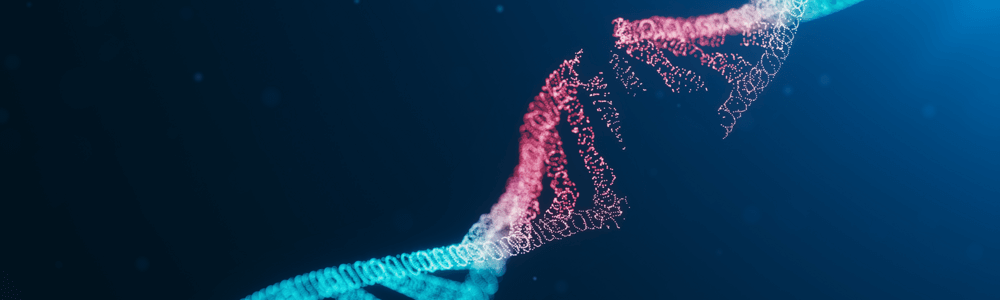 Artificial intelligence is becoming an increasingly important tool in the drug discovery and development process. Biotech investors benefit from this technology too.  