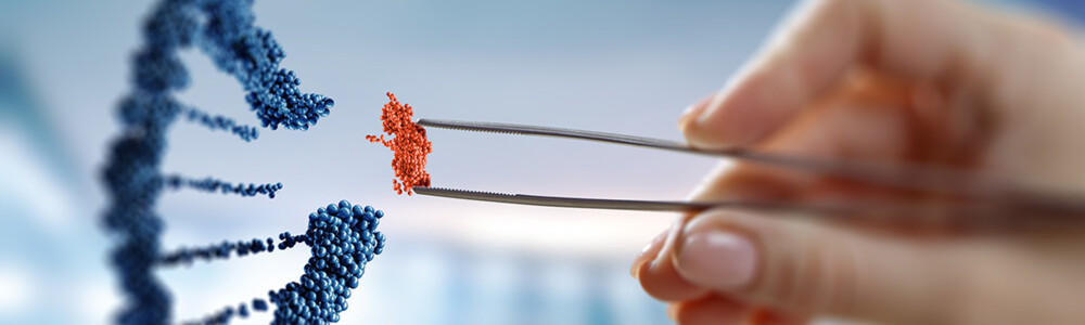 The latest Edison Research analysis on BB Biotech, highlighting the company’s continued progress and strategic developments across its portfolio. The analysis provides insights into recent milestones and how they are shaping future growth momentum.